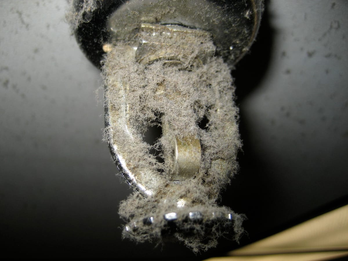 Close view of a fire sprinkler head thickly furred with gray dust
